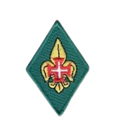 Chefe de Unidade/Adjunto